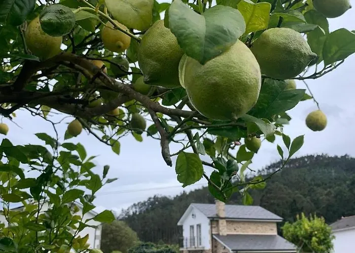 ヴィラ Casa Xan Jove